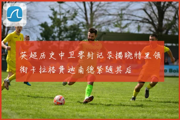 英超历史中卫零封记录揭晓特里领衔卡拉格费迪南德紧随其后
