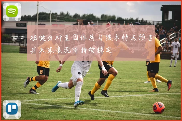 杨健分析奎因体质与技术特点预言其未来表现将持续稳定