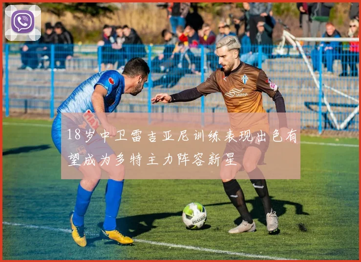 18岁中卫雷吉亚尼训练表现出色有望成为多特主力阵容新星