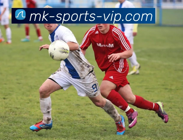 MK体育APP 封面图